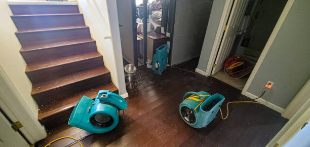 Best Commercial water damage restoration  in Hatch, NM