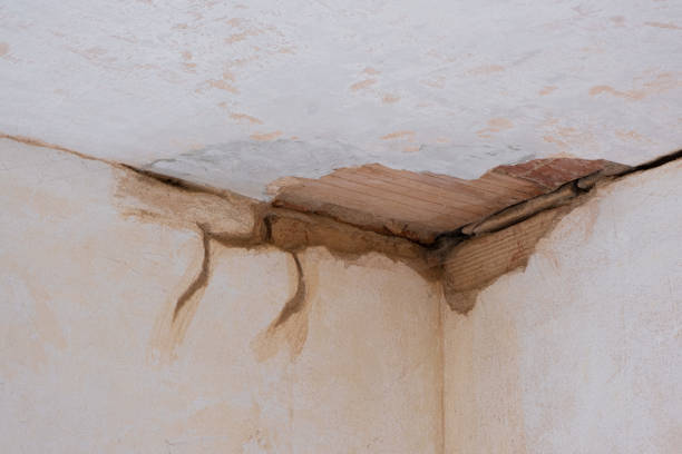  Hatch, NM Water damage restoration Pros