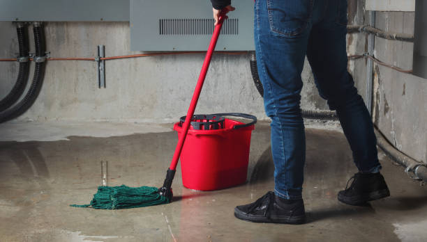 Best Carpet water damage restoration  in Hatch, NM