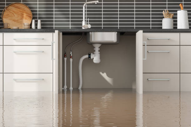 Best Fire Damage Restoration  in Hatch, NM